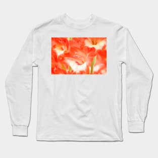 Gladiolus  'Daniella' Long Sleeve T-Shirt